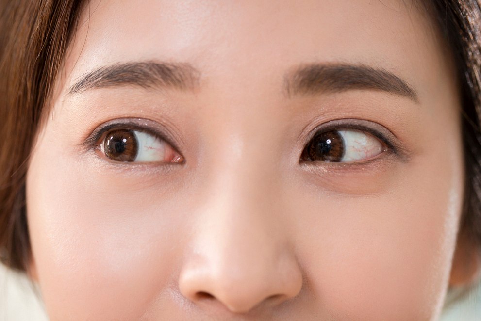 본문 내용을 보조하는 이미지